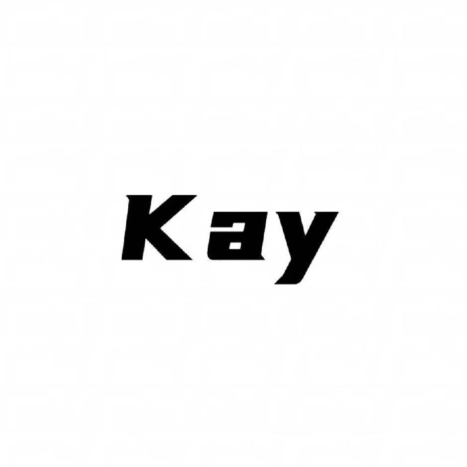 kaystudio--全域软件商城